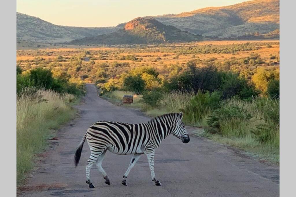 Rhino House With 3 Bedrooms Next To Pilanesberg And Sun City Mogwase Exteriör bild
