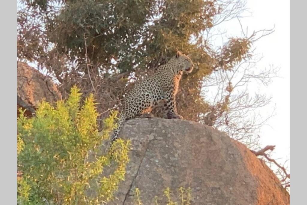 Rhino House With 3 Bedrooms Next To Pilanesberg And Sun City Mogwase Exteriör bild