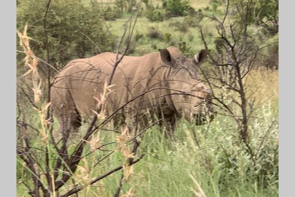 Rhino House With 3 Bedrooms Next To Pilanesberg And Sun City Mogwase Exteriör bild